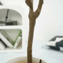 Árbol artificial para uso en interiores, plantas artificiales altas en macetas, plantas artificiales grandes con ramas de follaje realistas, plantas de Aralia artificiales en macetas para decoración en la sala de estar, la oficina o el hogar.