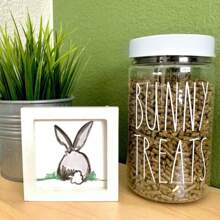 Large White Lid Plastic Treat/Food Container Jar/32oz Clear Storage/Custom Design Screw-On Lid For Small Pets/Bunny/Rabbit Personalized