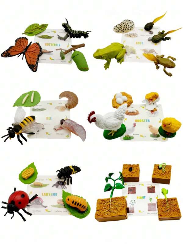 Jouets éducatifs sur le cycle de vie pour enfants, figurines réalistes avec fiches d'apprentissage, kits de jouets en entomologie, botanique, zoologie, kit papillon monarque avec chenilles vivantes