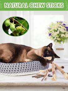 3PCS Silvervine Chew Sticks For Cats, Catnip Chew Sticks Cat Toys For Indoor Cat Kitten Teeth Grinding Interactive Feather Toys For Aggressive Chewers Dental Care/7pcs /Set