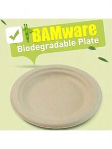 10/50 件豪华 6 英寸加厚纸盘 - 可重复使用、防漏、一次性，适合庆祝活动