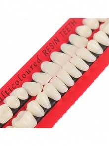 1 件树脂牙模，1 套牙贴面，用于口腔教学演示、医疗培训、万圣节艺术装饰 - 彩色 - 查看 5