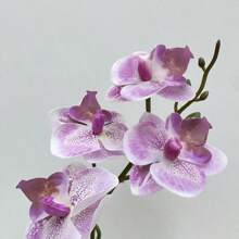 1pc Real Touch Artificial Butterfly Orchid With Vase - Ideal For Home Office Decor, Party Wedding Decoration And Room/Home Decor - Potted Plant