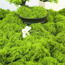 High Quality Simulation Moss Piece Micro Landscape Lawn Set Decorator Fake Moss Grass Pot Landscape - Light Green - View 5