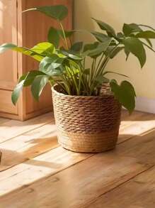 1pc Plant Pots For Indoor Plants, Seagrass Planters, Planter Basket Indoor, Flower Pots Cover, Plant Containers, Natural