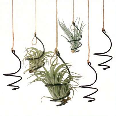 12pcs Black Aluminum Vortex Air Plant Holders - Soilless Hanging Planters For Orchids & Garden Decor, No Soil Needed