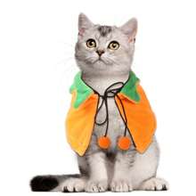 Pet Clothing Set