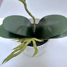 1pc Real Touch Artificial Butterfly Orchid With Vase - Ideal For Home Office Decor, Party Wedding Decoration And Room/Home Decor - Potted Plant