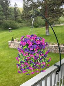 1 pieza Flor artificial simulada, Flor artificial de Campanilla con hojas de eucalipto, plantas colgantes realistas, adecuadas para boda, hogar, oficina, jardín, decoración de cumpleaños, aniversario, graduación, decoración de jardín, plantas de exterior, jardinería, flores artificiales, decoración de hogar y jardín, decoración de habitaciones, regalo decorativo de cumpleaños y graduación