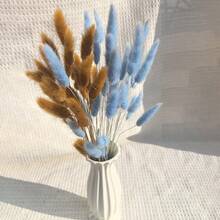 60 件蓝色兔子尾巴干花蒲苇干花装饰，17 英寸蒲苇花，干花装饰，波西米亚风婚礼装饰礼物生日毕业，秋季装饰，秋季