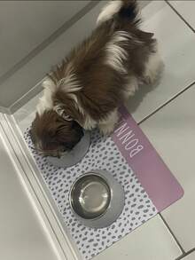 1Pc Dog Bowl Mat, Personalised Pet Bowl Mat, /Absorbent Quick Drying/Anti Slip Rubber Sole, Customised Bowl Mat, Sage Dog Food Mat, Puppy Bowl Mat, Cat Kitten Mat, Dog Mat, Dog Lover Gift - Multicolor - View 4