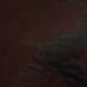 متعدد الألوان