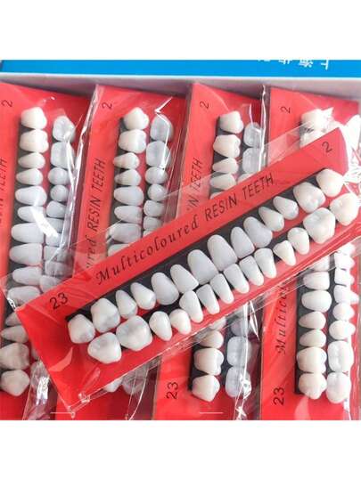 1 件树脂牙模，1 套牙贴面，用于口腔教学演示、医疗培训、万圣节艺术装饰