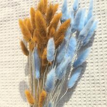 60 件蓝色兔子尾巴干花蒲苇干花装饰，17 英寸蒲苇花，干花装饰，波西米亚风婚礼装饰礼物生日毕业，秋季装饰，秋季