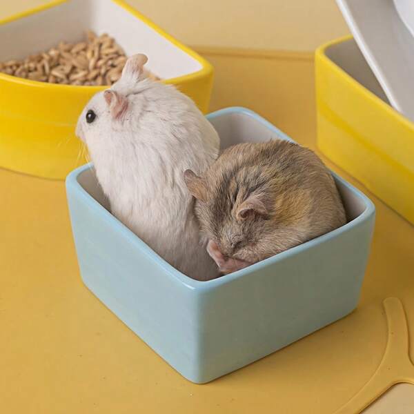 1 Stück Keramiknapf in Bonbonfarben für Hamster/Papageien/Igel