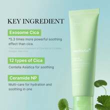 Exosome Cica Tea Tree Cream For Sensitive Skin With Centella Asiatica Help Reduce Redness And Breakouts. | Low-Irritating, Moisturizing Daily Texture Care