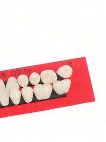 1 件树脂牙模，1 套牙贴面，用于口腔教学演示、医疗培训、万圣节艺术装饰 - 彩色 - 查看 4