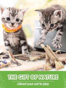 3PCS Silvervine Chew Sticks For Cats, Catnip Chew Sticks Cat Toys For Indoor Cat Kitten Teeth Grinding Interactive Feather Toys For Aggressive Chewers Dental Care/7pcs /Set