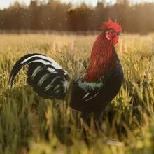 2 件 STOBOK 乡村风格母鸡架，亚克力鸡装饰 - 多功能动物主题花园装饰，无需电源或电池，户外庭院艺术 - 彩色 - 查看 7