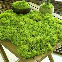 High Quality Simulation Moss Piece Micro Landscape Lawn Set Decorator Fake Moss Grass Pot Landscape - Light Green - View 7