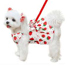 Pet Dog Clothes Spring Thin Style With Leash Dress, For Small Dogs Cats Teddy Poodle - Multicolor - View 8