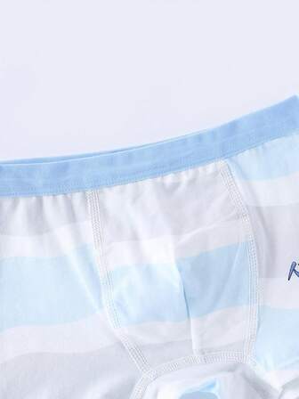 4pcs/Pack Boys' Cartoon Dinosaur Printed Boxer Briefs, All Season