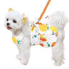 Pet Dog Clothes Spring Thin Style With Leash Dress, For Small Dogs Cats Teddy Poodle - Multicolor - View 13