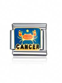 1 pieza 2025 Brazalete de acero inoxidable con dijes italianos de de moda con temas de animales como panda, búho, águila, tiburón, araña y cangrejo, adecuado como regalo para novia, amigos, familia, fiesta y accesorios diarios