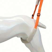 Dog Rear Leg Disability/Injury Assist Harness For Medium-Small Breed Dogs, Rehabilitation Training Aid For Senior/Disabled Canines - Multicolor - View 5