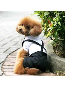 Conjunto de vestido a rayas formal para perros, adecuado para bodas y fiestas, con lazo - Ropa elegante para mascotas apta para ocasiones especiales
