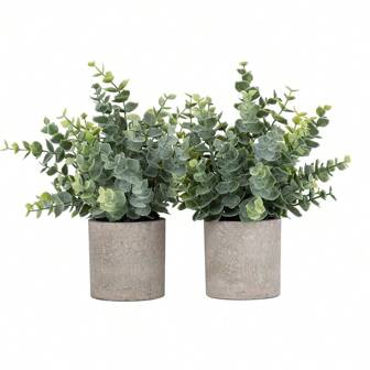 1/2 件人造桉树盆栽植物小型假植物盆栽仿桉树盆栽套装适用于家居架子装饰办公桌桌面装饰