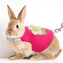 1 pieza Arnés para conejo con diseño de flor y conejo adorable, Elegante y delicado conjunto de arnés para conejos, Arnés de pecho y correa para uso en exteriores, Adecuado para conejos, gatos pequeños, cobayas, etc.