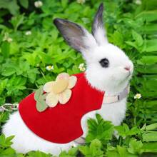 1 pieza Arnés para conejo con diseño de flor y conejo adorable, Elegante y delicado conjunto de arnés para conejos, Arnés de pecho y correa para uso en exteriores, Adecuado para conejos, gatos pequeños, cobayas, etc.