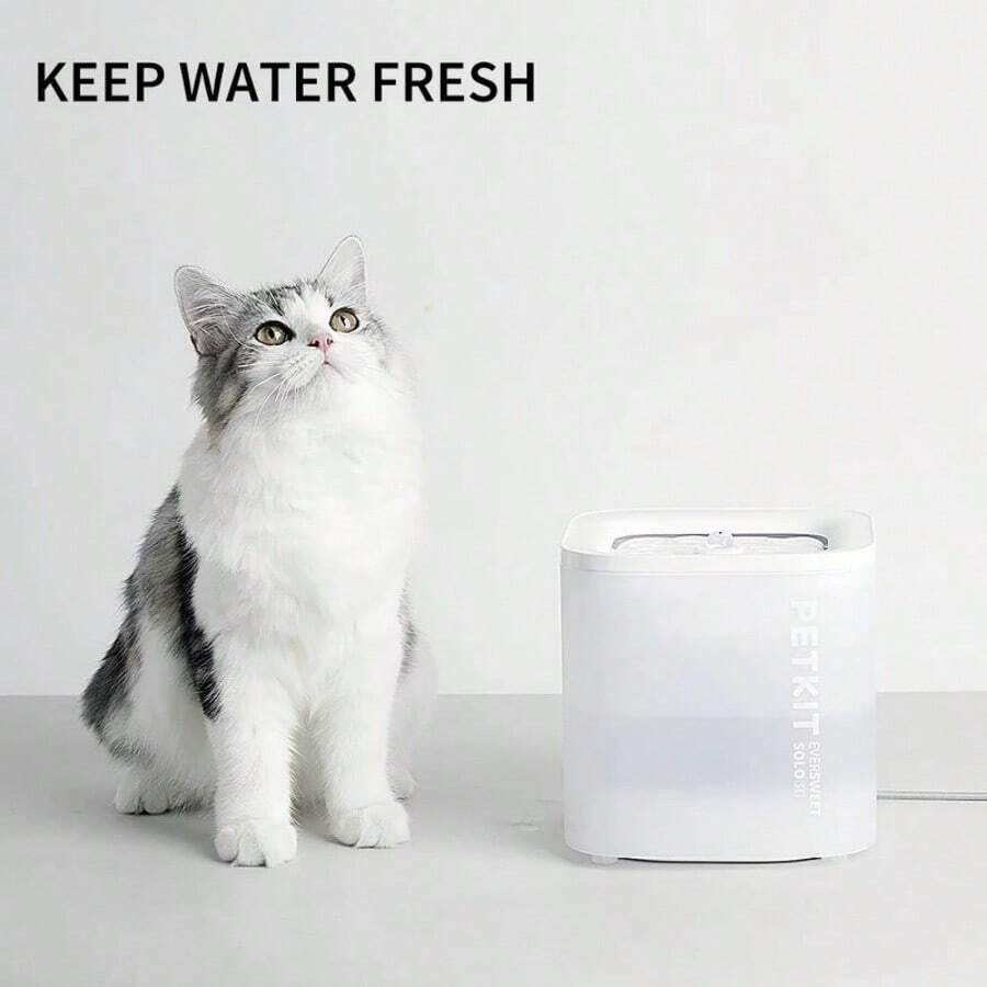 L Eversweet Solo SE Dog And Cat Water Fountain With Wireless Pump125843 - 1 - View 1