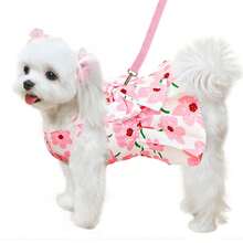 Pet Dog Clothes Spring Thin Style With Leash Dress, For Small Dogs Cats Teddy Poodle - Multicolor - View 15