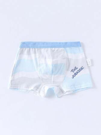 4pcs/Pack Boys' Cartoon Dinosaur Printed Boxer Briefs, All Season