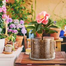 Klare Pflanzentöpfe Acryl Gewächshaustöpfe mit Ablauflöchern und Untertasse Transparente Pflanzentöpfe Klarer Blumentopf für Zimmerpflanzen, Sukkulenten, Kräuter, Blumen und Kakteen Dekorativ