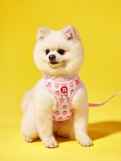 PETSIN 适合小型犬的可爱宠物背带和牵引绳套装，防逃跑猫牵引绳，可调节猫背心，适合所有季节户外散步