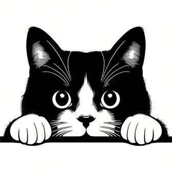 1 件/2 件/3 件可爱偷看猫热转印贴纸 - 黑白熨烫补丁，适用于 DIY T 恤、枕头、手套、袜子 - 可水洗耐用织物装饰、俏皮配饰 | 迷人装饰 | 可水洗贴纸