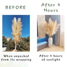 10pcs 39.37" Pampas Grass Bouquet Dry Florals For Home Boho Decor Wedding ArchFloral Arranging