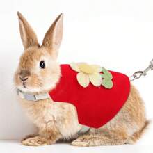 1 pieza Arnés para conejo con diseño de flor y conejo adorable, Elegante y delicado conjunto de arnés para conejos, Arnés de pecho y correa para uso en exteriores, Adecuado para conejos, gatos pequeños, cobayas, etc.