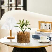 Klare Pflanzentöpfe Acryl Gewächshaustöpfe mit Ablauflöchern und Untertasse Transparente Pflanzentöpfe Klarer Blumentopf für Zimmerpflanzen, Sukkulenten, Kräuter, Blumen und Kakteen Dekorativ