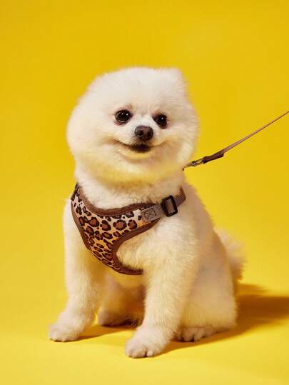 PETSIN 1pc Leopard Pet Harness Set,Adjustable Lightweight Pet Harness For Small Medium Dogs And Cats