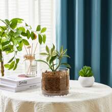 Klare Pflanzentöpfe Acryl Gewächshaustöpfe mit Ablauflöchern und Untertasse Transparente Pflanzentöpfe Klarer Blumentopf für Zimmerpflanzen, Sukkulenten, Kräuter, Blumen und Kakteen Dekorativ