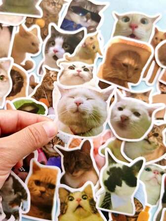 Nayiben 50pcs/Pack Cat Expression & Action Graffiti Stickers For Luggage, Suitable For Travel Home Scrapbook Decoration Back To School