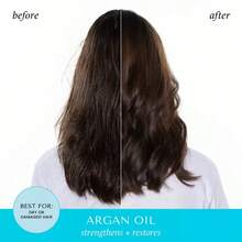 Argan Oil Leave-In Spray For Damaged Hair - Hydrating Conditioner & Detangler, 6 Fl Oz - Multicolor - View 5