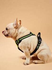 PETSIN Dog Harness, No-Pull Pet Harness With 2 Leash Clips, Adjustable Soft Padded Dog Vest, Reflective No-Choke Pet Oxford Vest With Easy Control Handle For Large Dogs-The Vest And Rope Are Not A Set Set And Need To Be Purchased Separately