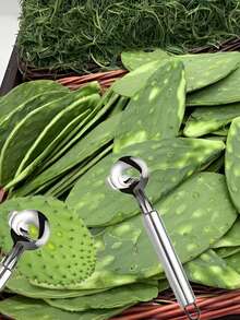 3/2/1 Piece Cactus Peeler Set - Stainless Steel Fruit And Vegetable Peeler, Spoon Melon Baller And Seeder - Cheese Butter Stick Pastry Cutter Easy To Use Home And Restaurant Kitchen Gadgets