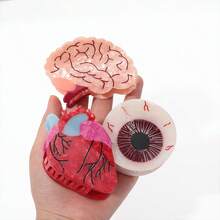 1 PC Novel Brain, Heart, Eye Hair Grab Clip Personalized Medical Student Anatomy Creative Anti Slip Hair Clip Hair Claws Claw Clips Hair Clips Hair Jaw Clip Hair Clamps Hair Clutch Hair Catcher Clip Fall Winter Hair Accessories For Women For Vacation Outfits Woman