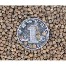 White Four O'clock Lavender Seeds, Suitable For Planting-Older Lavender Seeds - 50 - View 4